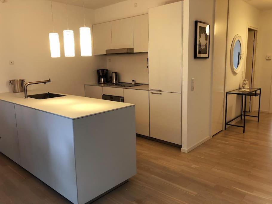 1 Bedroom Designer Flat København